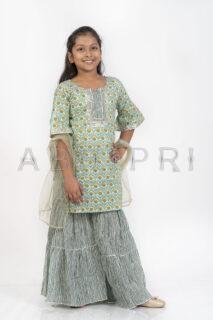 AbhiPri Cotton Jaipuri Print Girl’s Gharara Kurti,  Style 8 (Girlsghararakurti-8)
