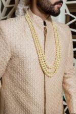 Nakkashi Handcrafted Sherwani - Image 3
